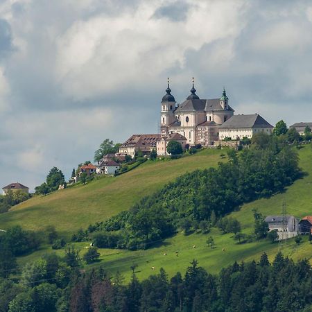 Biohof Ebenbauer Hotell Waidhofen an der Ybbs Exteriör bild
